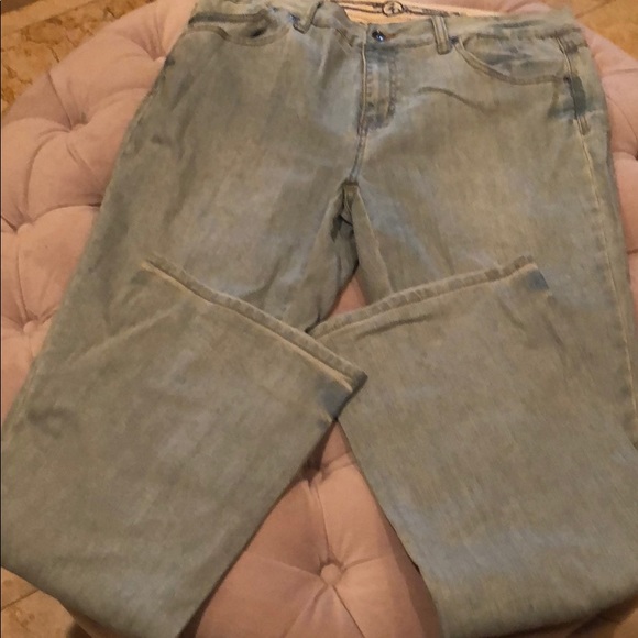 ZD Premium Jeans - NWOT - Size 16 - Picture 1 of 7